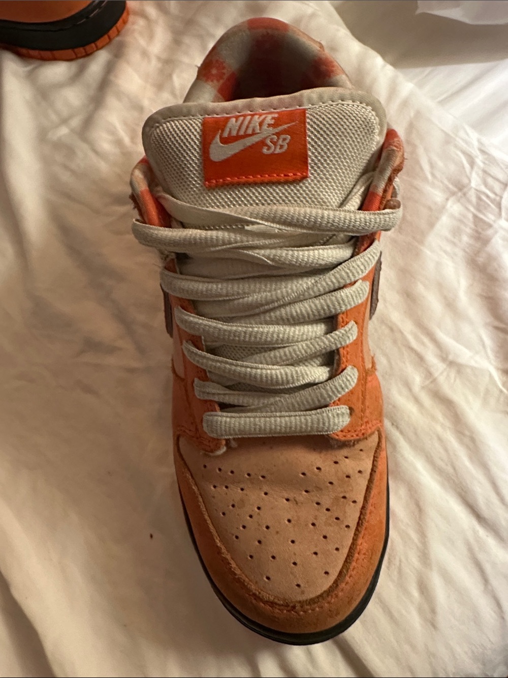 Nike SB Dunk Low Orange lobsters Low-Top Sneakers - Picture 12 of 16